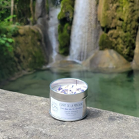 Bougie Esprit de la Montagne – Edelweiss