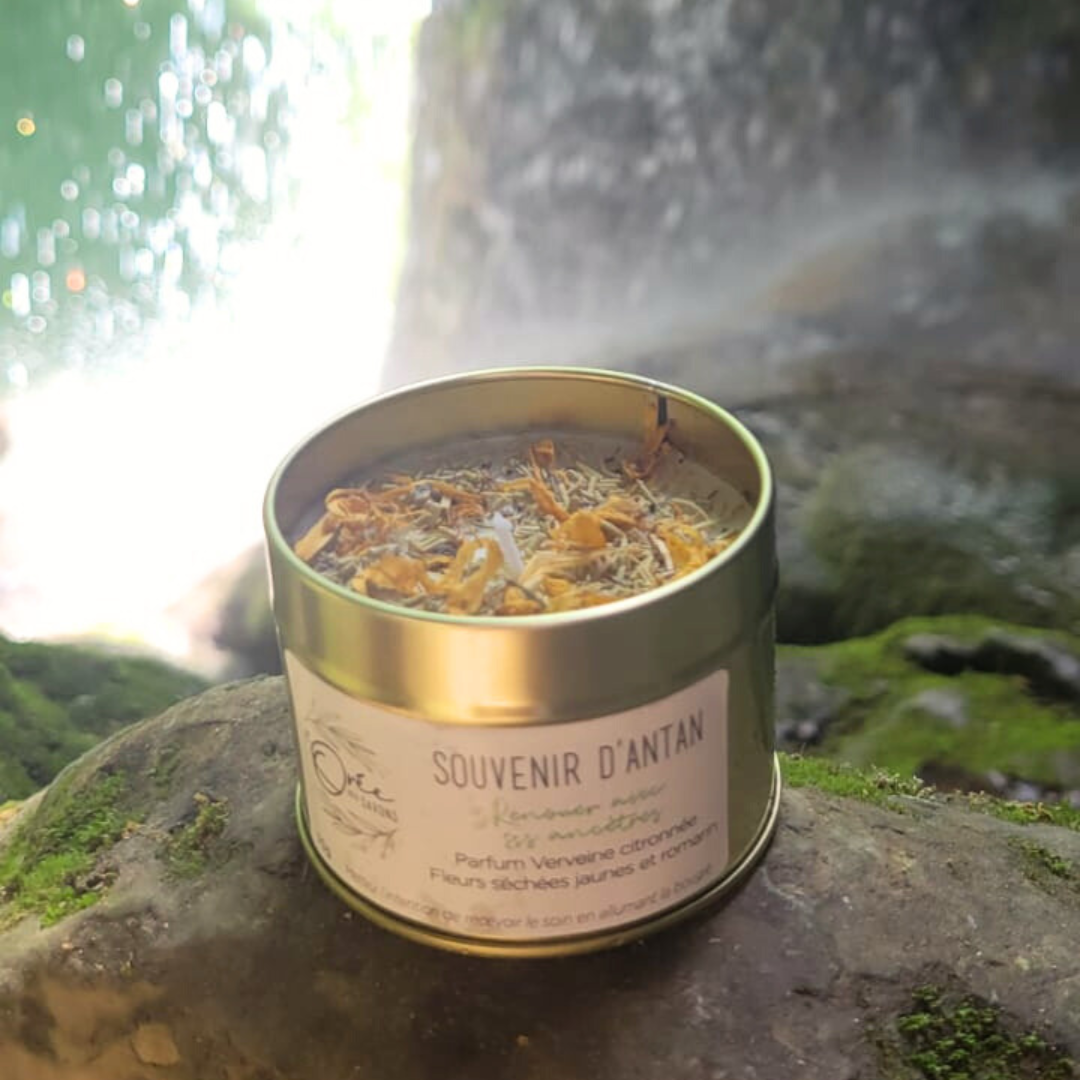 Bougie Souvenir d'antan - Verveine