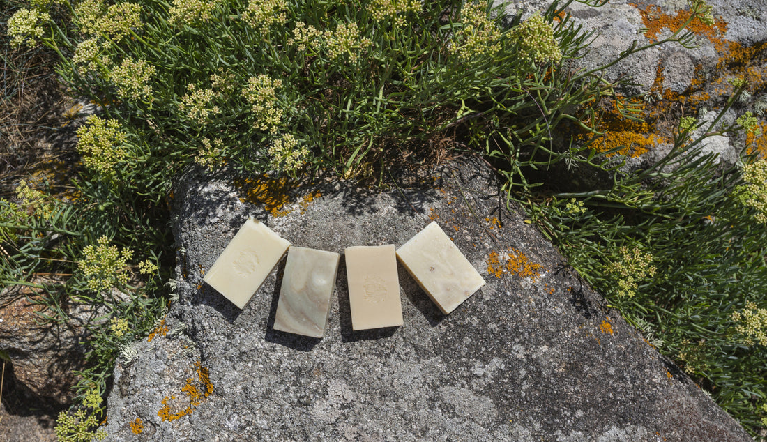 l-oree-des-savons-naturel-saponification-a-froid-savon-artisanal-fabrique-en-france-fait-main-bio-peau-soin-huile-vegetale-zero-dechet-ingredient-francais-corps5