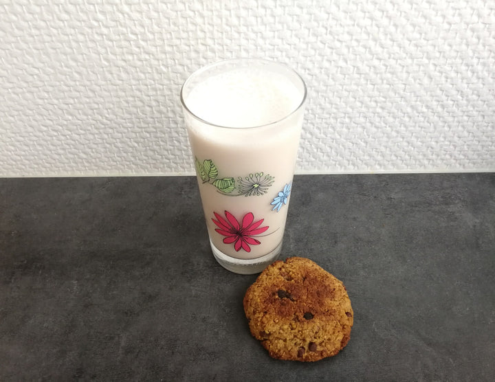Comment faire ses Laits Végétaux Maison + Recette de Cookie avec l’okara