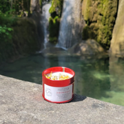 Bougie Protection - Bois de santal