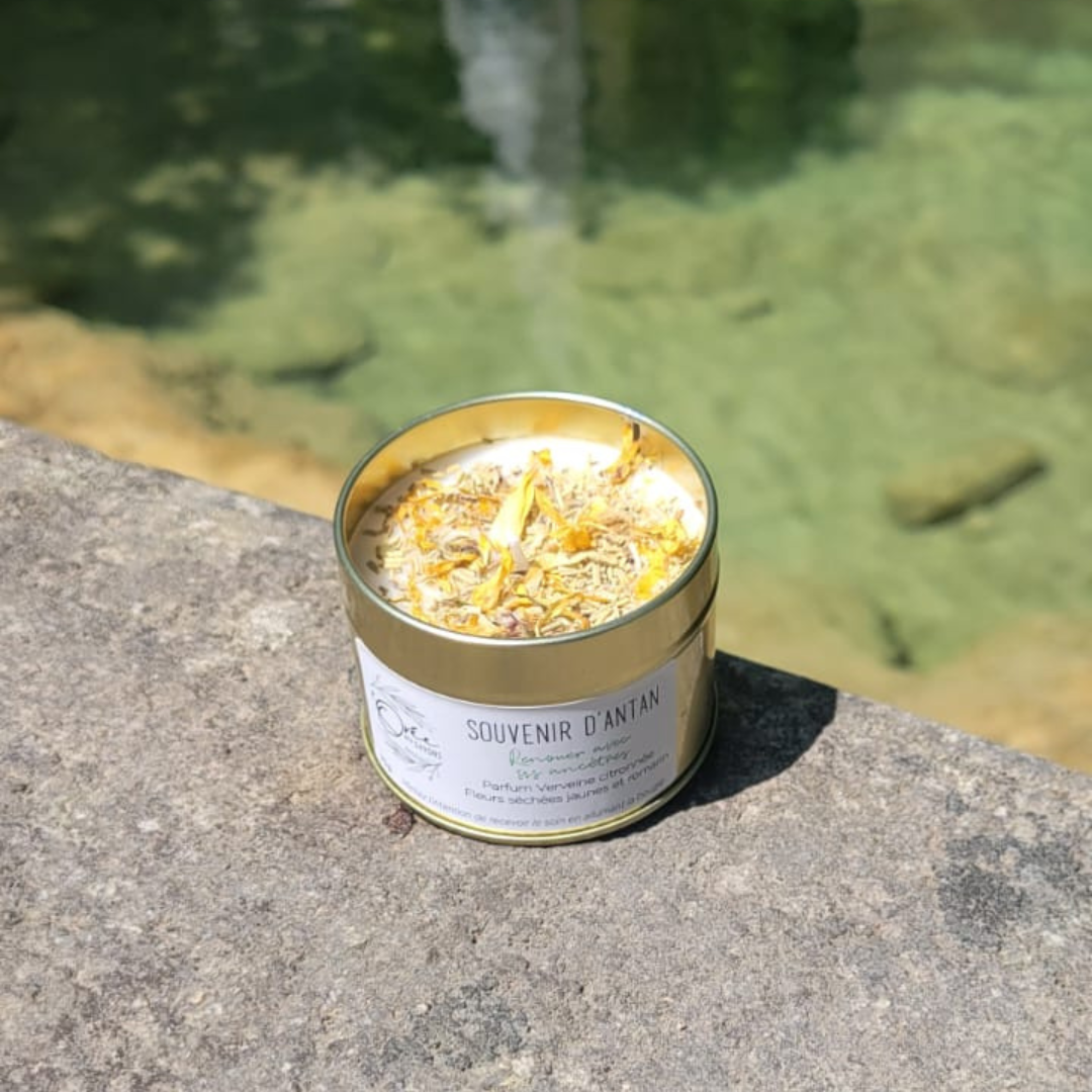 Bougie Souvenir d'antan - Verveine