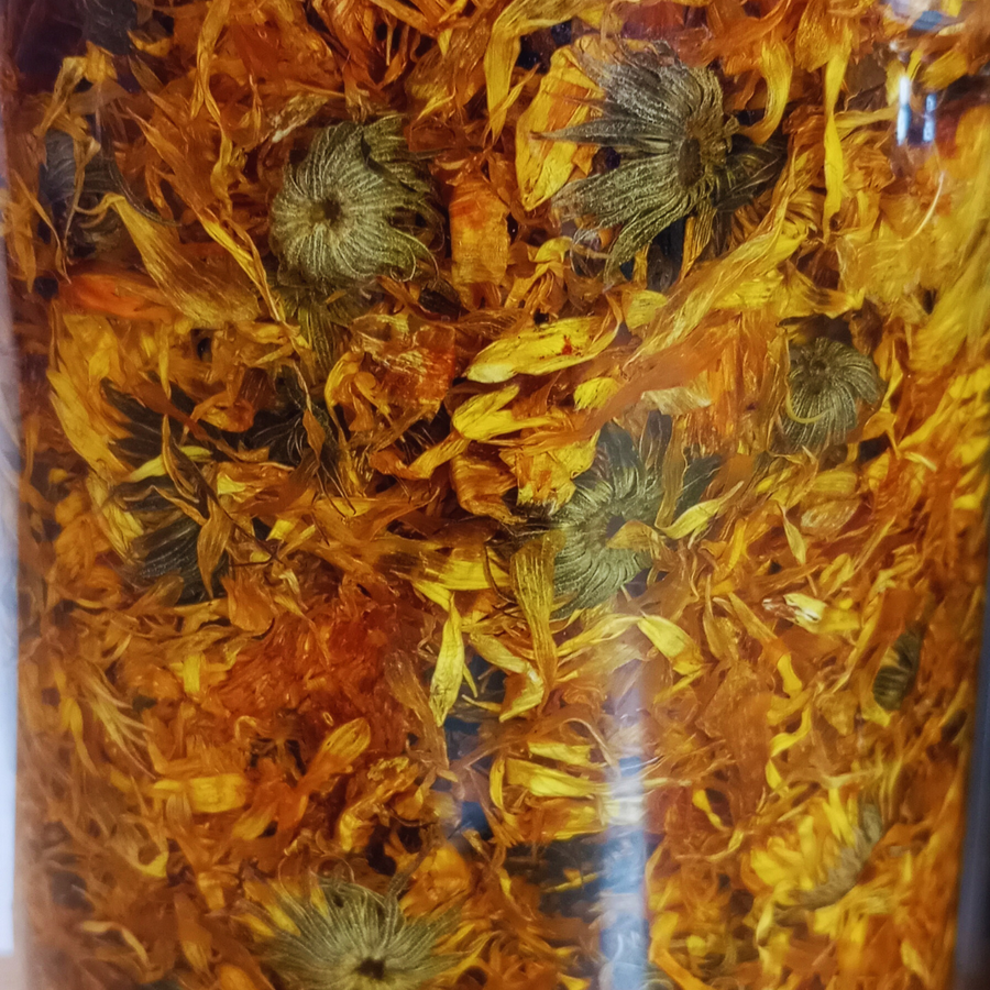 Macérât Huileux de Calendula