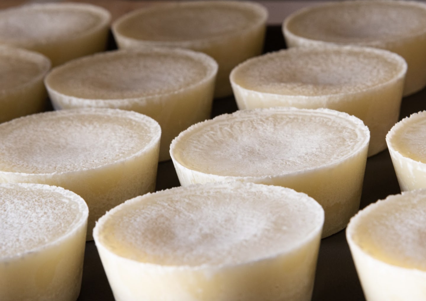 shampooings solides l'Orée des Savons en phase de séchage